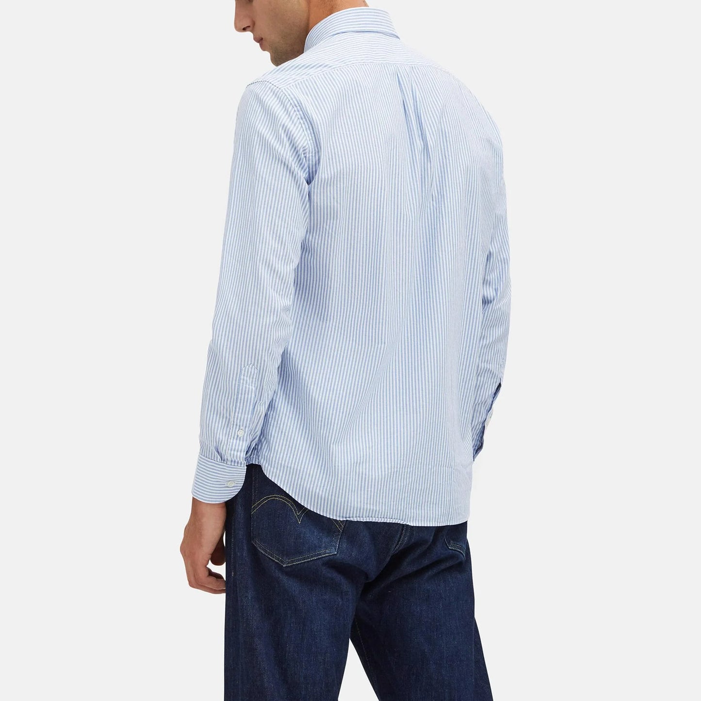 Camicia Bradford in cotone tessuto Oxford a righe celeste regular fit by B.D. BAGGIES
